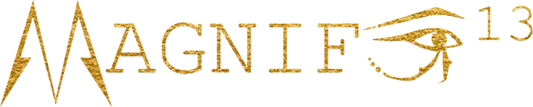 Magnifeye13 logo